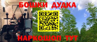 дурь Будённовск