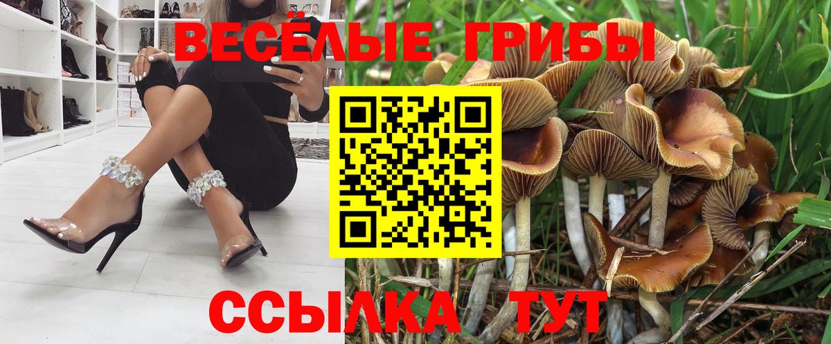 Псилоцибиновые грибы GOLDEN TEACHER Соль-Илецк