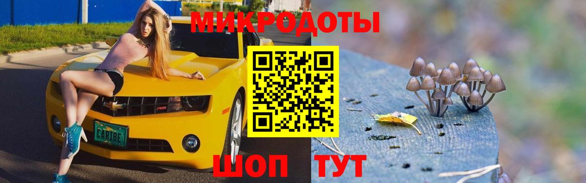 Псилоцибиновые грибы мухоморы  Вход с VPN  Соль-Илецк 
